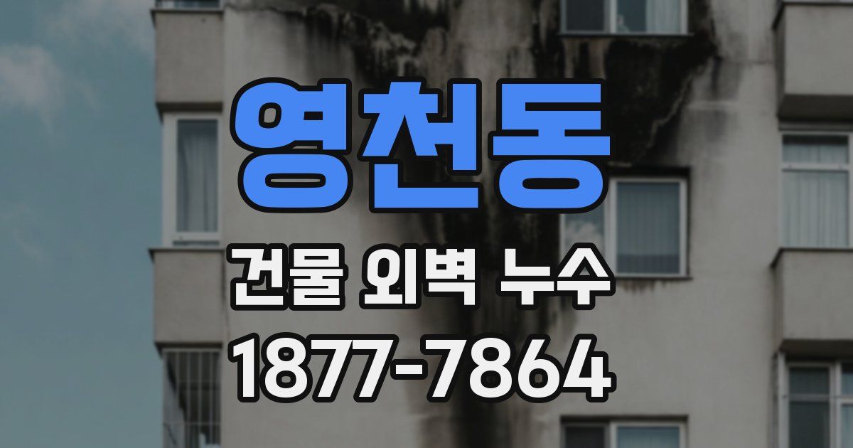영천동 건물 외벽 누수