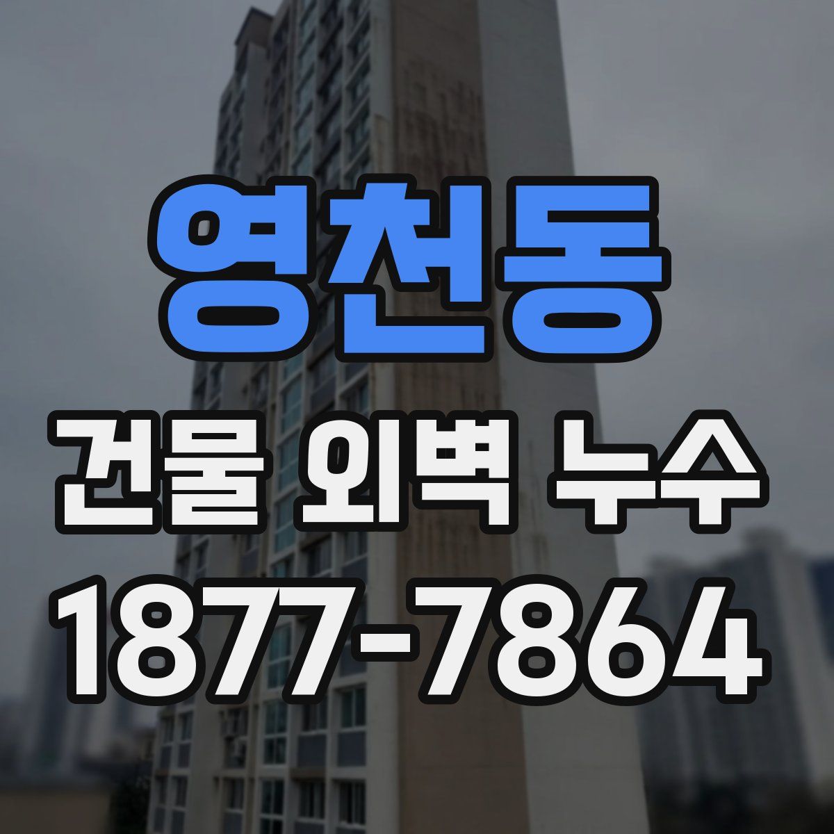 영천동 건물 외벽 누수