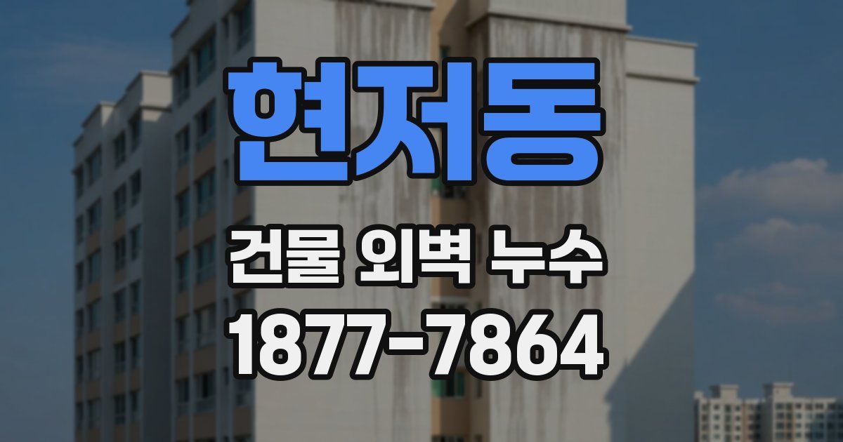 현저동 건물 외벽 누수