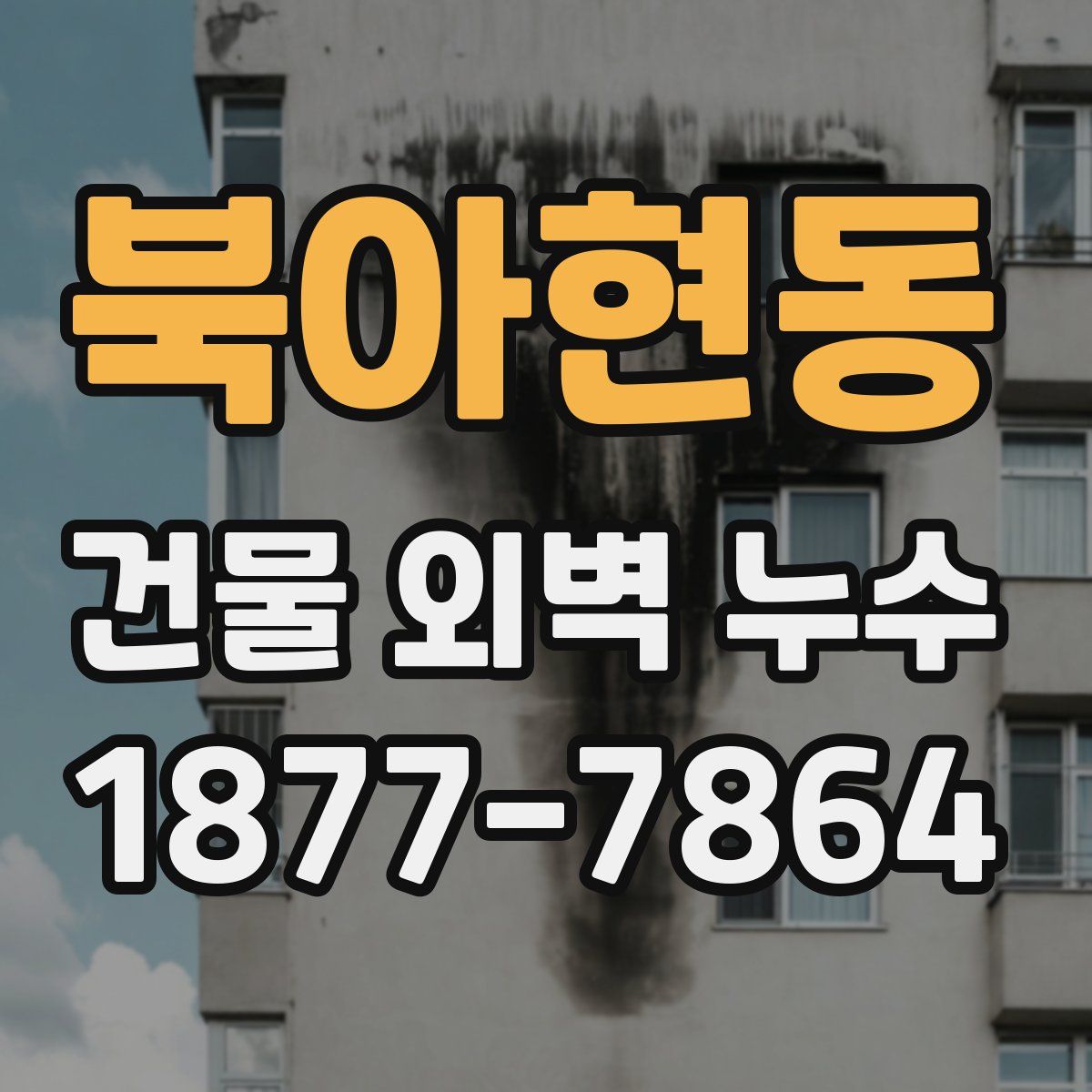 북아현동 건물 외벽 누수