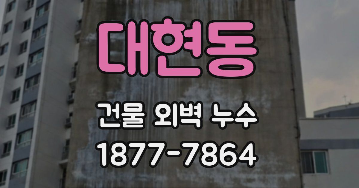 대현동 건물 외벽 누수