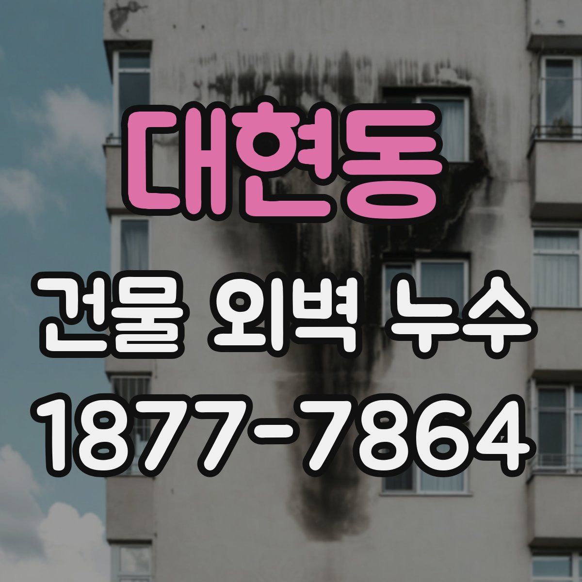 대현동 건물 외벽 누수