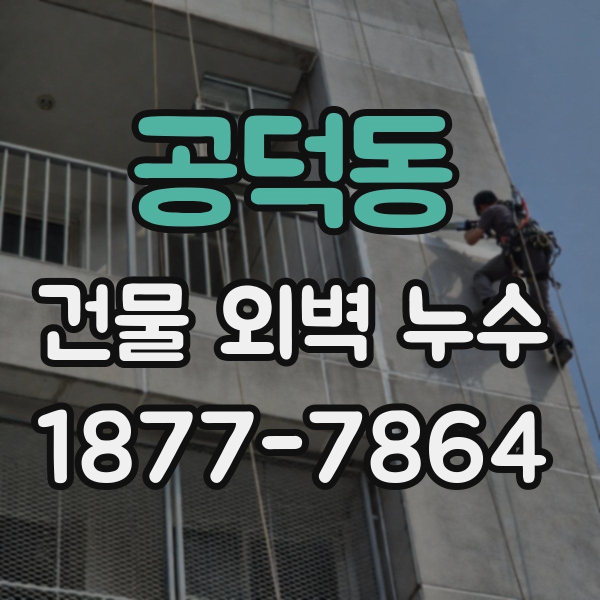 공덕동 건물 외벽 누수