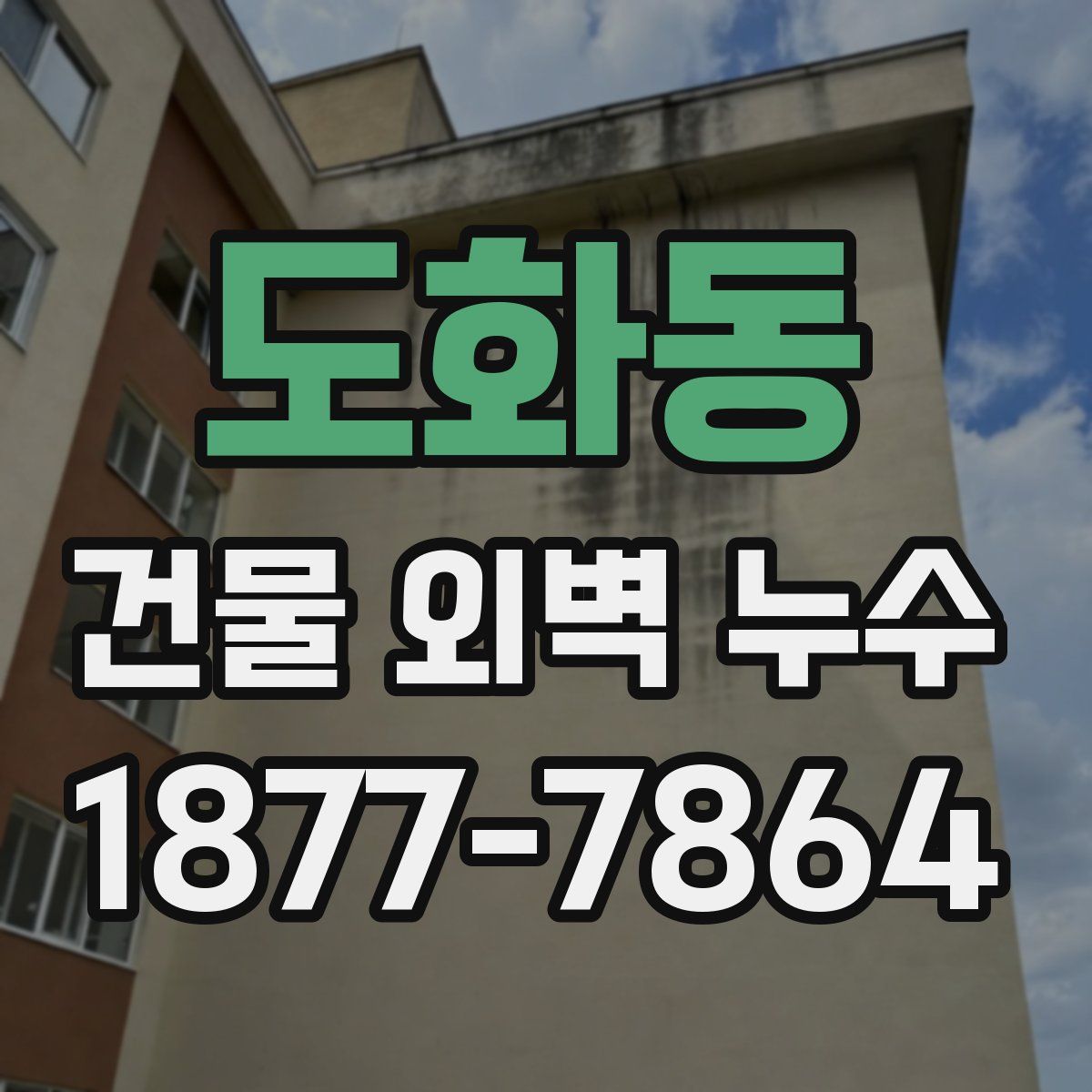 도화동 건물 외벽 누수