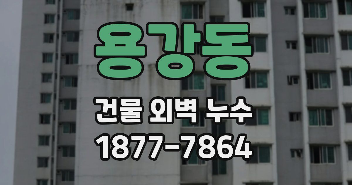용강동 건물 외벽 누수