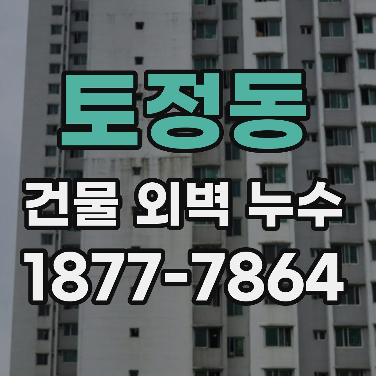 토정동 건물 외벽 누수