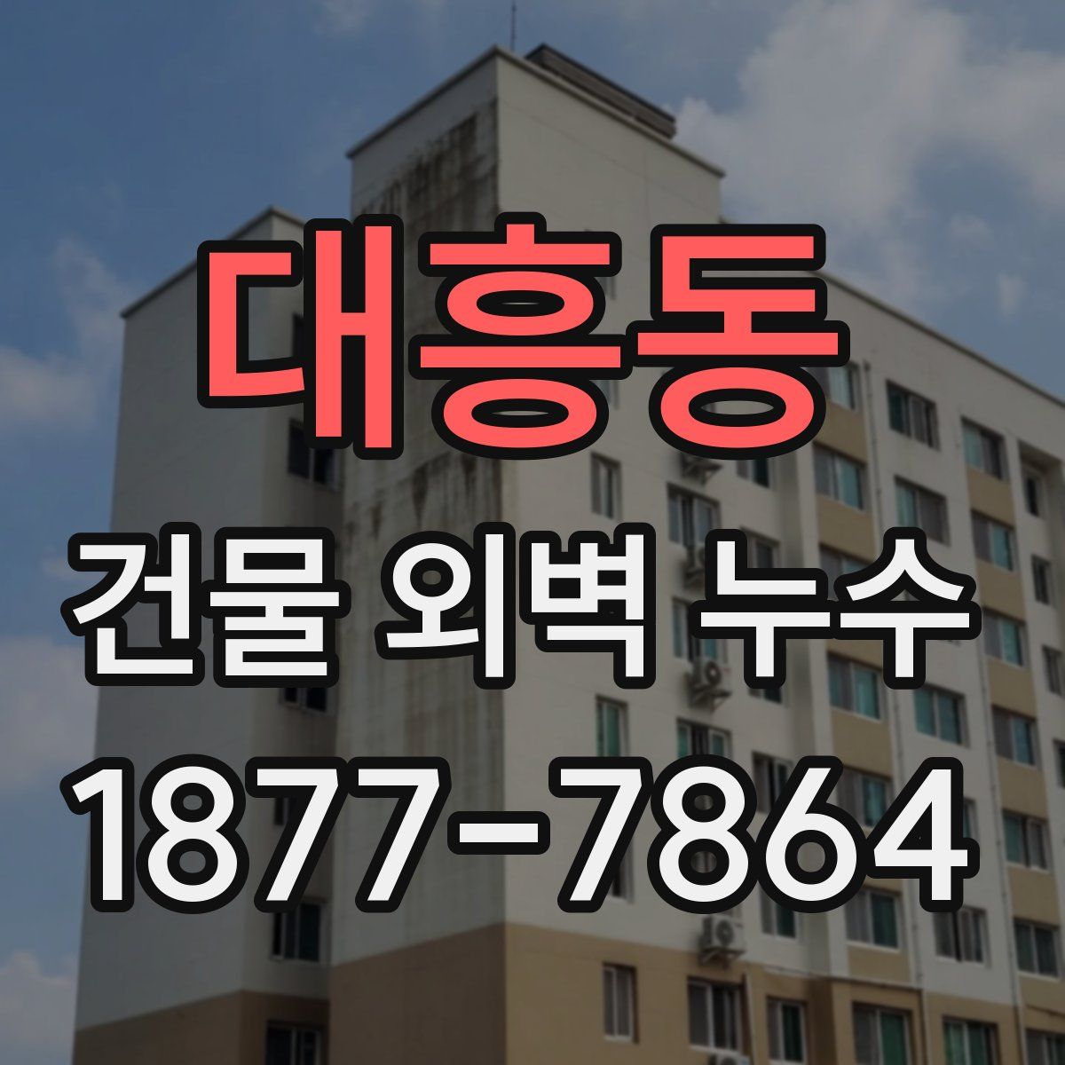 대흥동 건물 외벽 누수