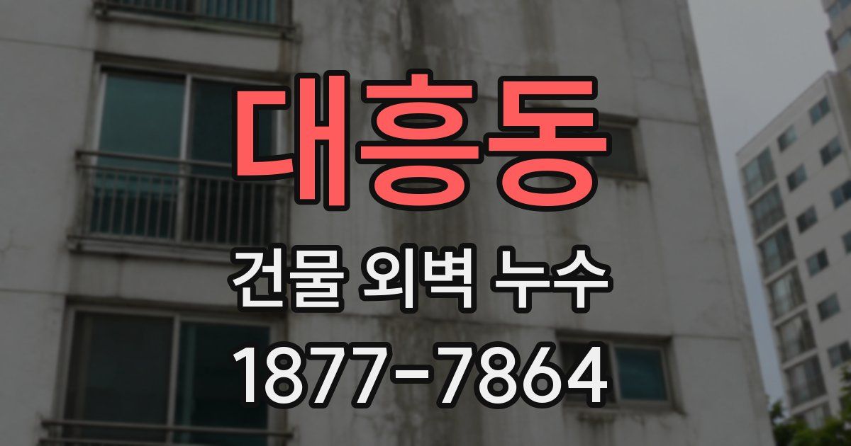 대흥동 건물 외벽 누수