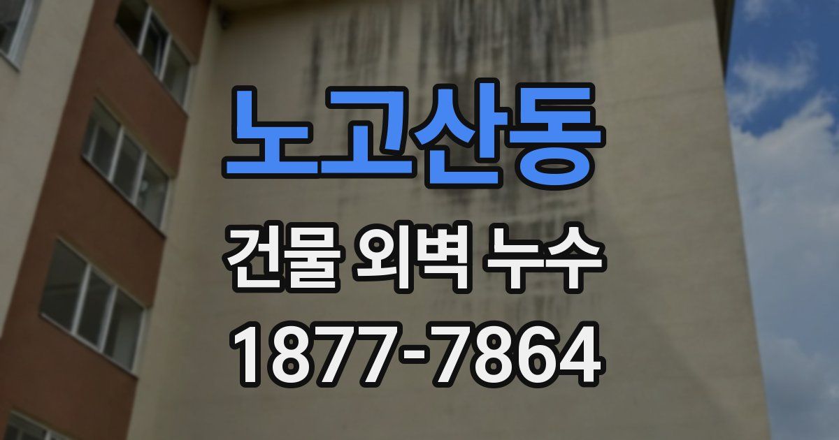 노고산동 건물 외벽 누수