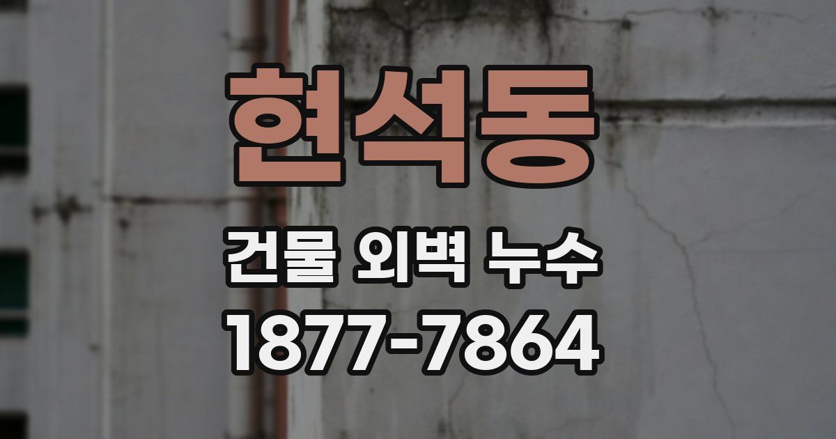 현석동 건물 외벽 누수