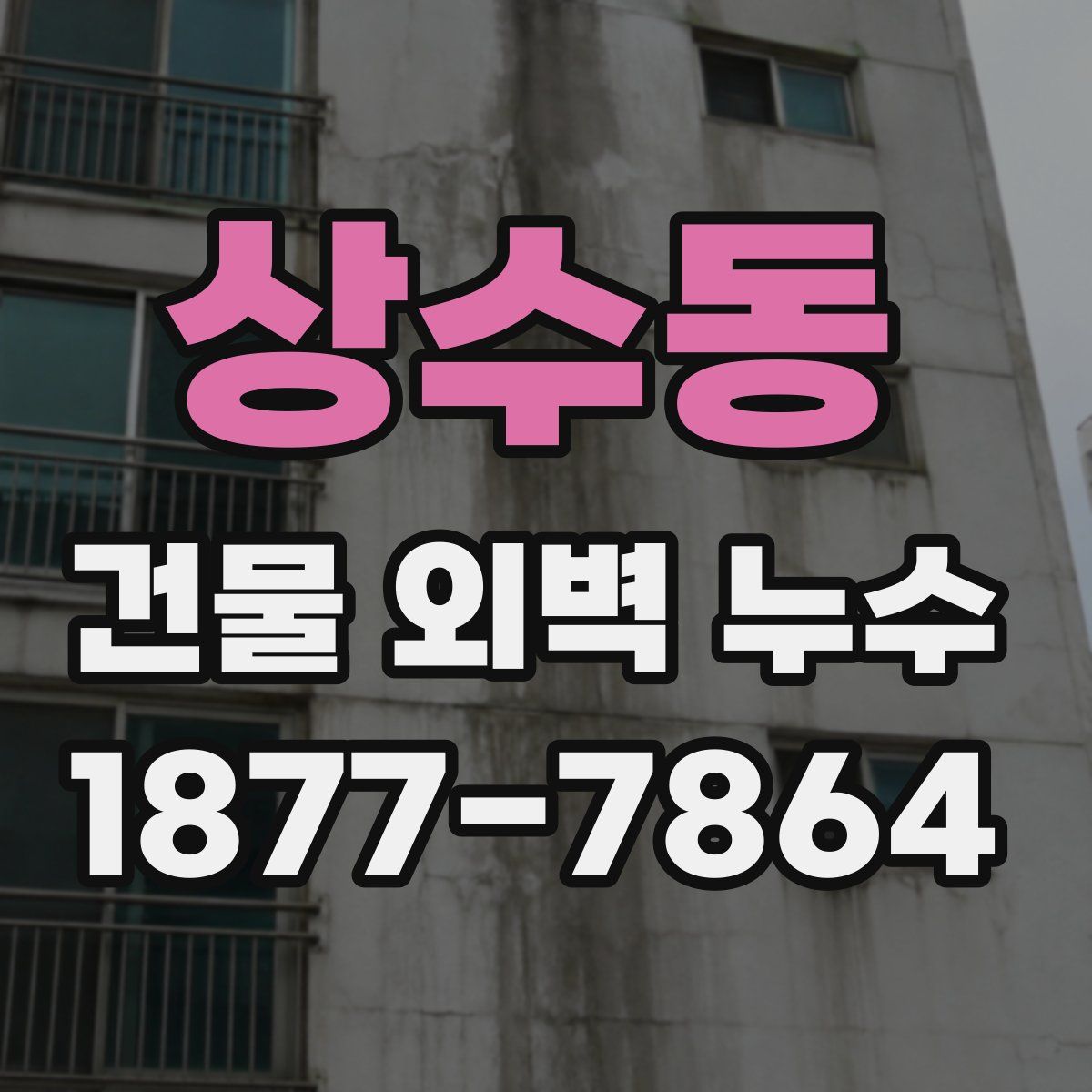 상수동 건물 외벽 누수
