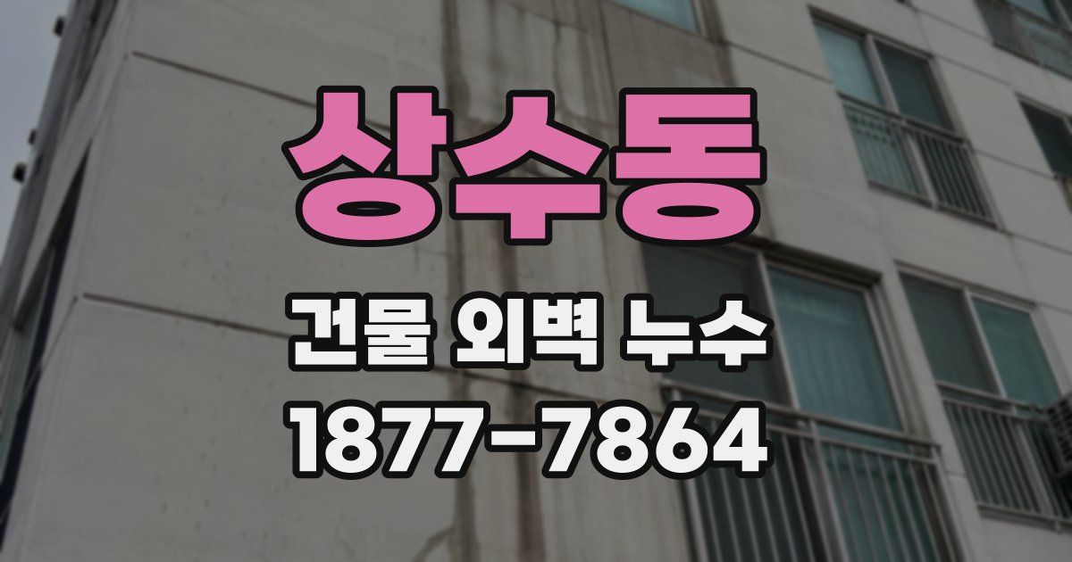 상수동 건물 외벽 누수