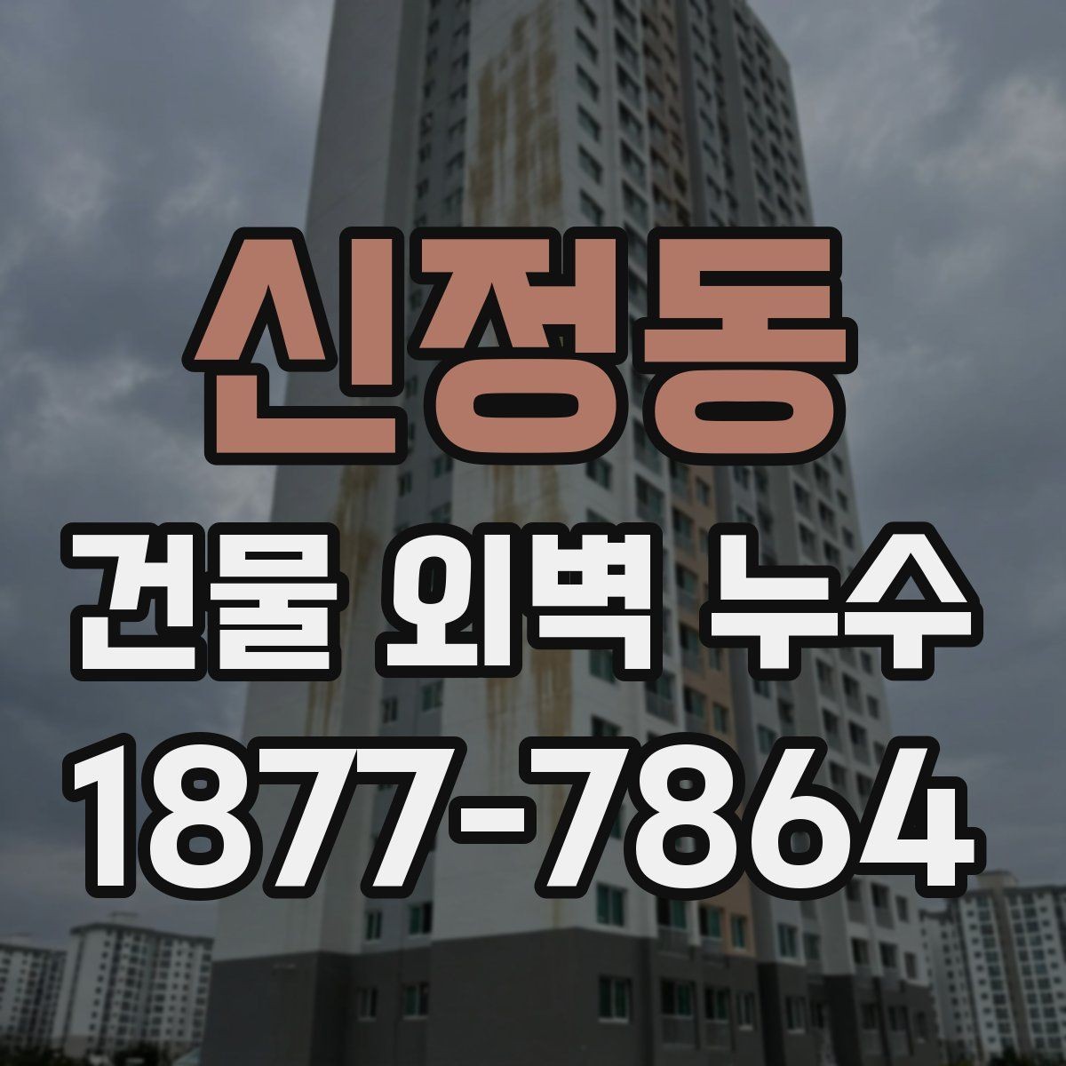 신정동 건물 외벽 누수 공사 전후 주의사항