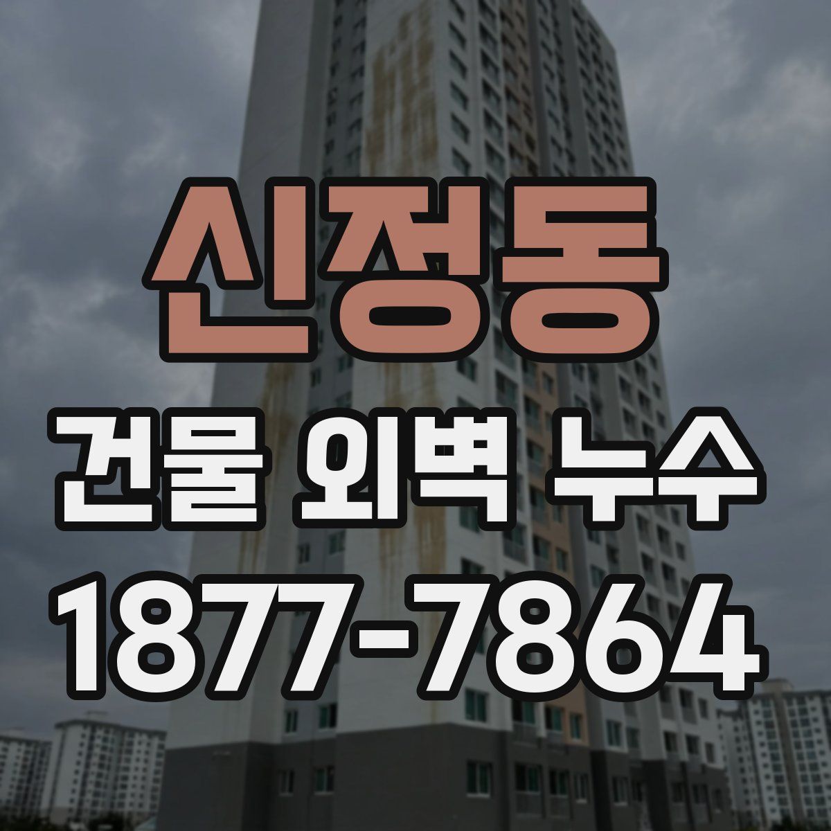 신정동 건물 외벽 누수