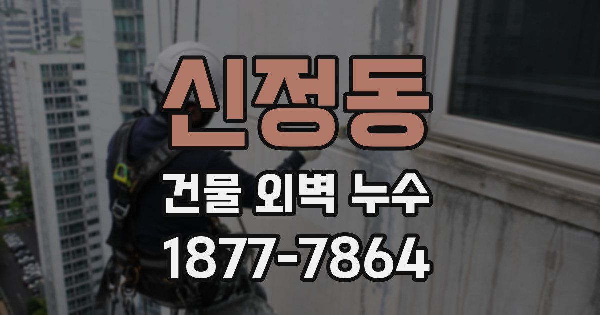 신정동 건물 외벽 누수