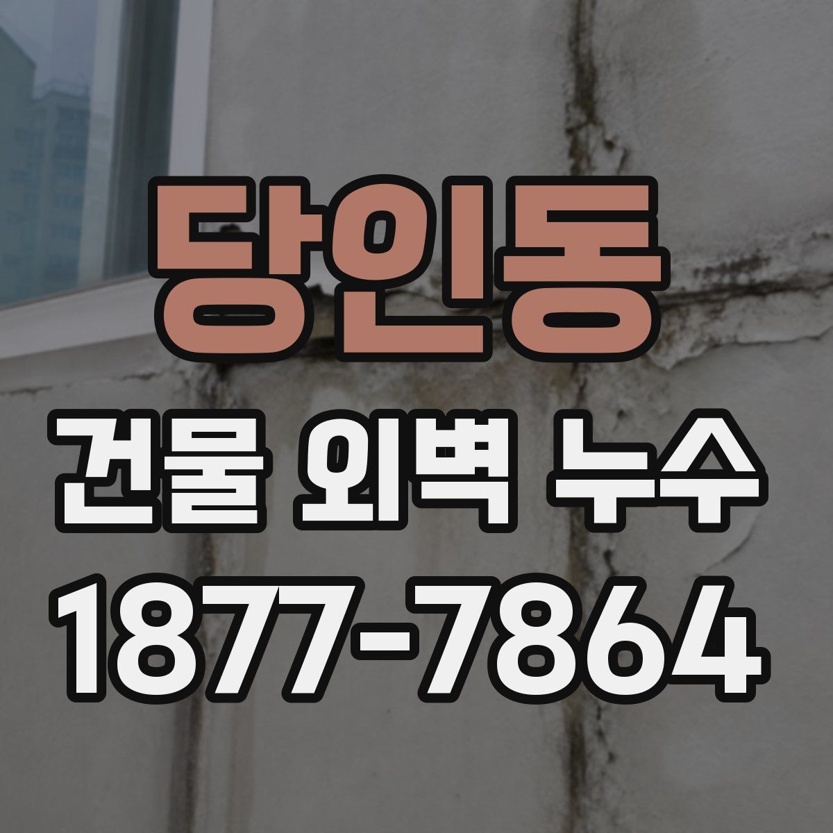 당인동 건물 외벽 누수