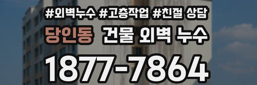 당인동 건물 외벽 누수