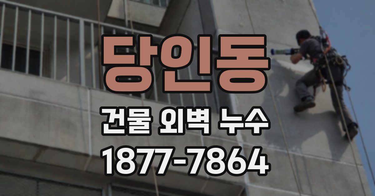 당인동 건물 외벽 누수
