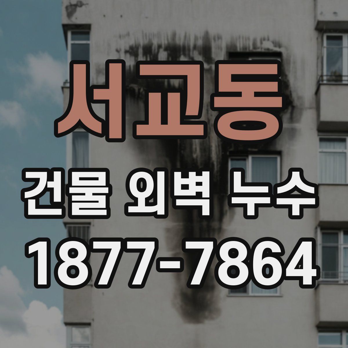 서교동 건물 외벽 누수