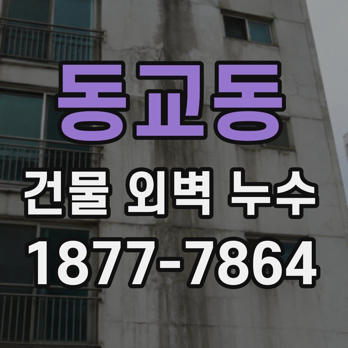 동교동 건물 외벽 누수 수리 전후로 비교해야 할 항목