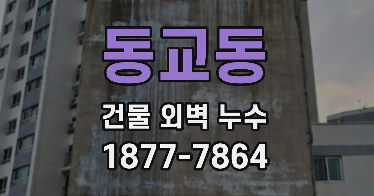동교동 건물 외벽 누수