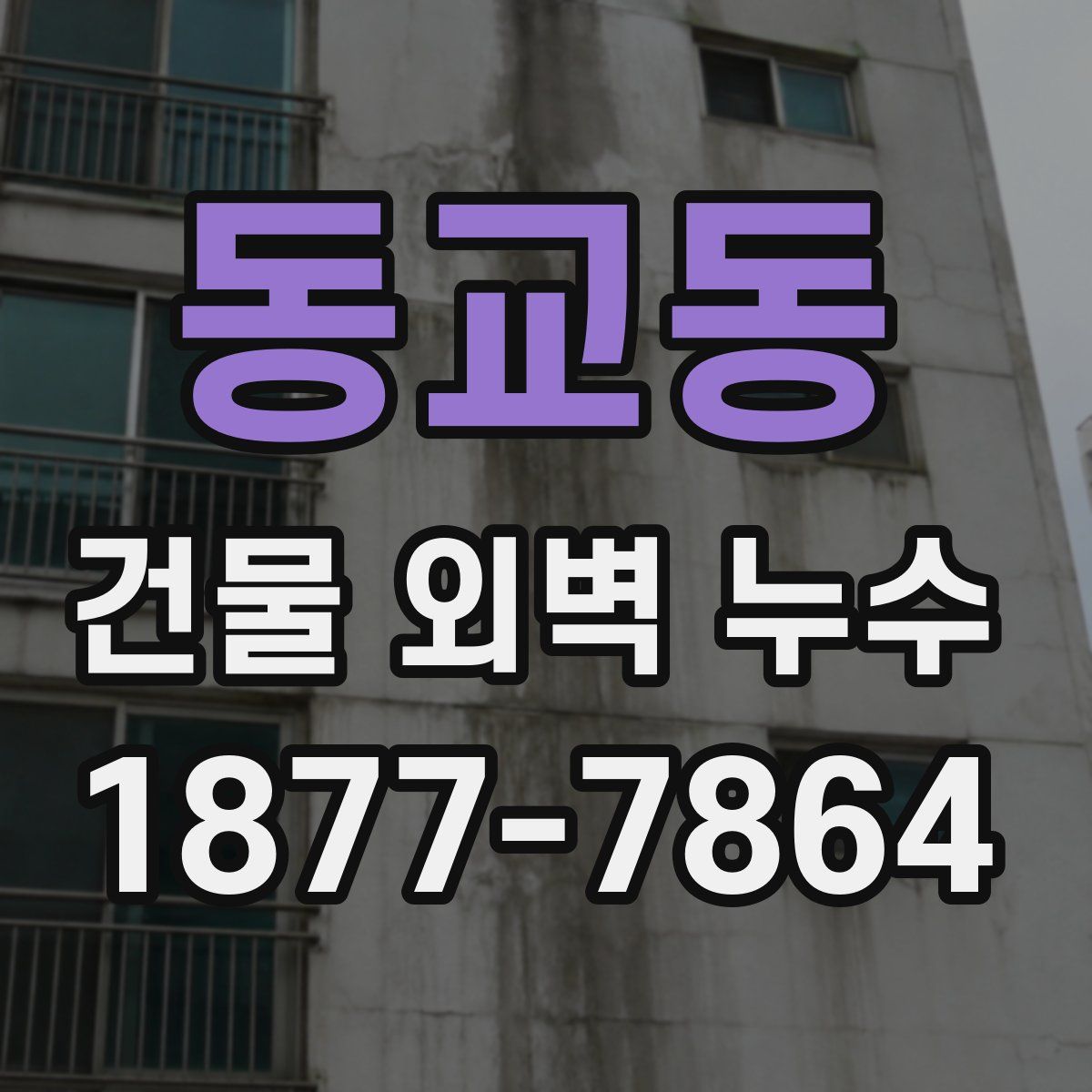 동교동 건물 외벽 누수