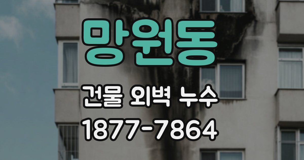 망원동 건물 외벽 누수