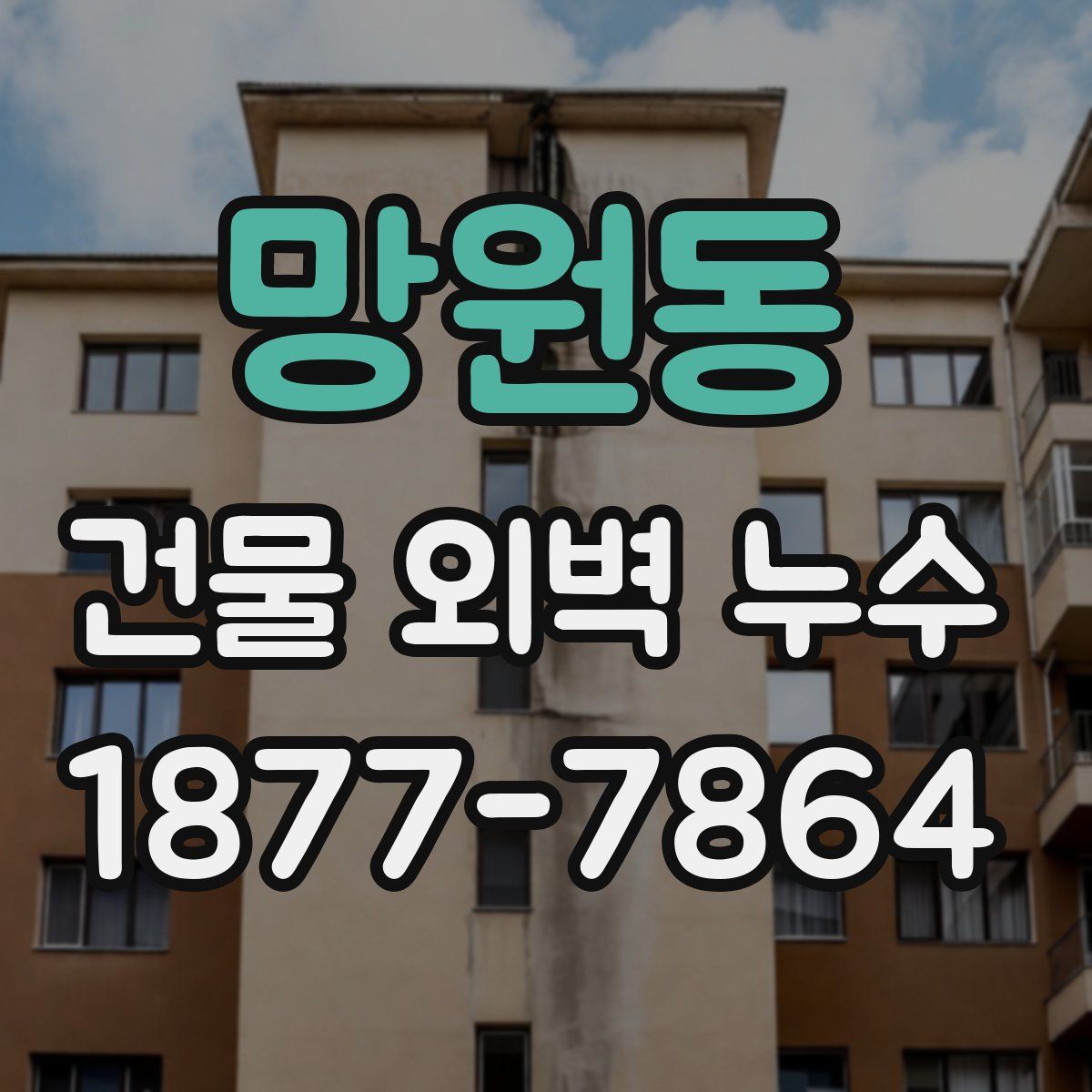 망원동 건물 외벽 누수