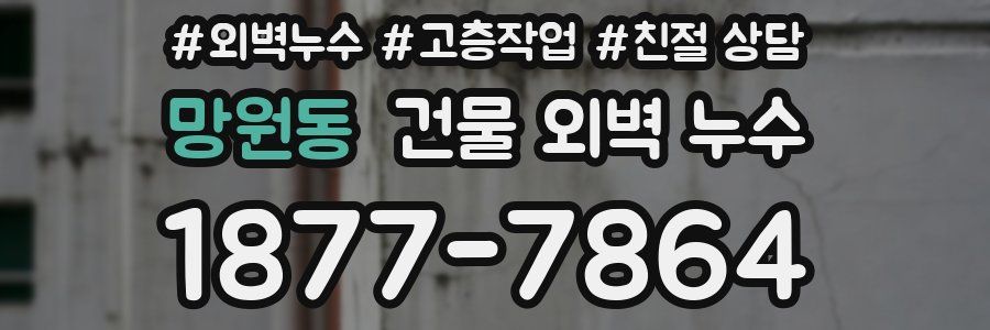 망원동 건물 외벽 누수