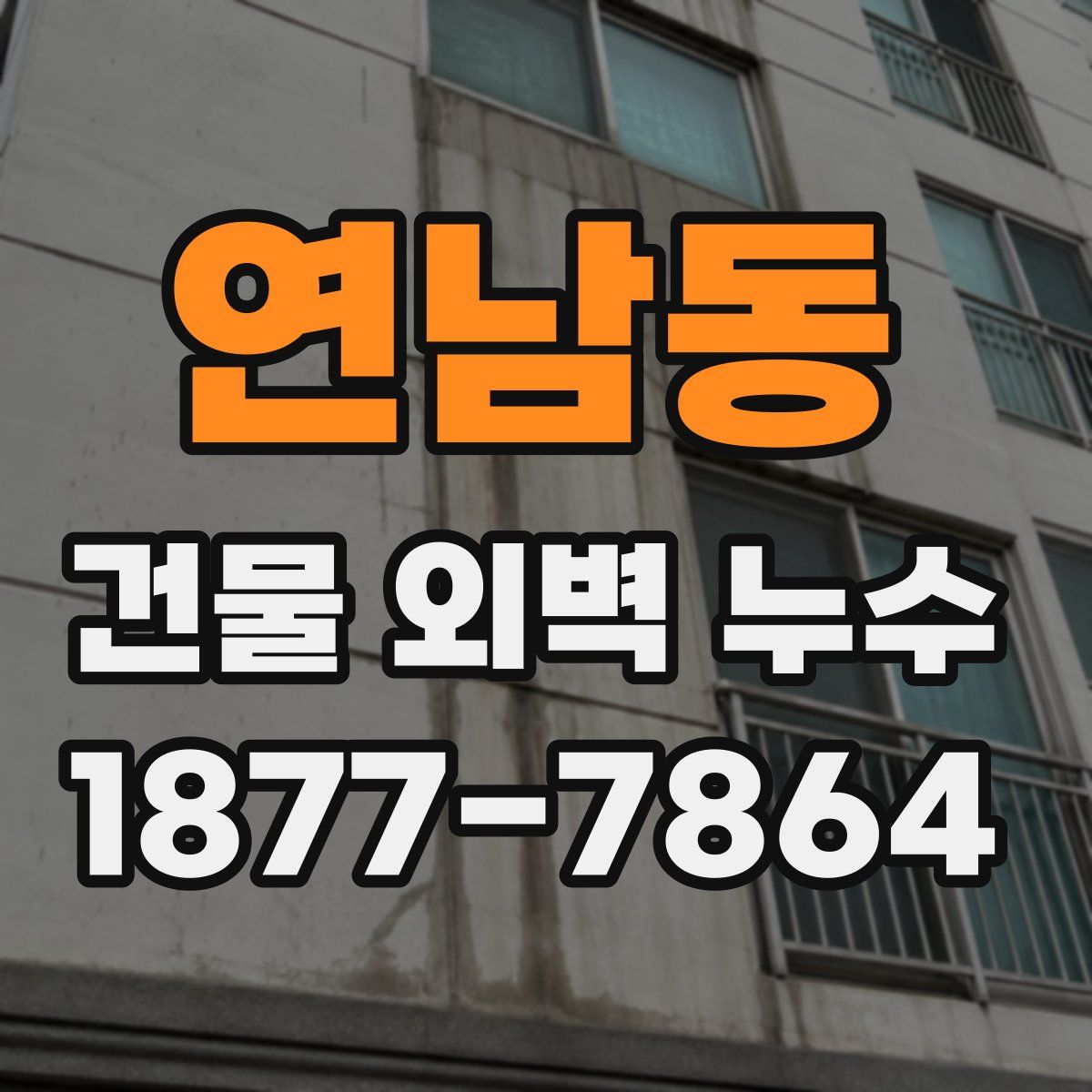 연남동 건물 외벽 누수