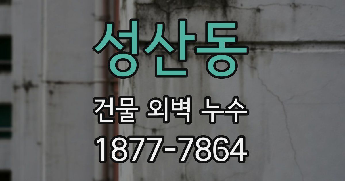 성산동 건물 외벽 누수