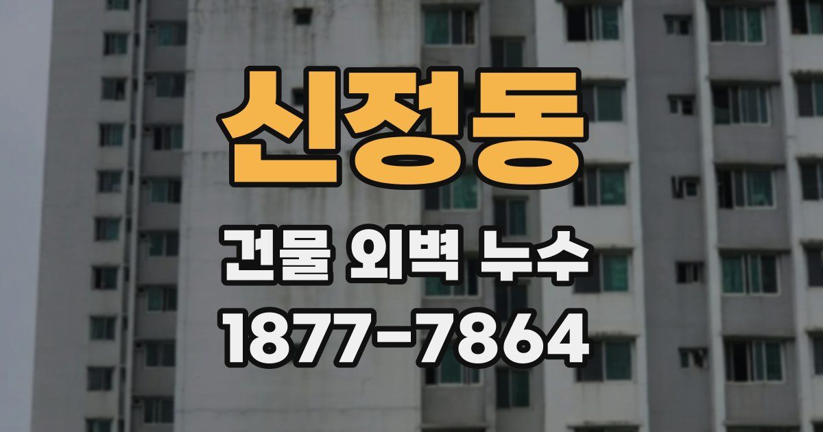 신정동 건물 외벽 누수