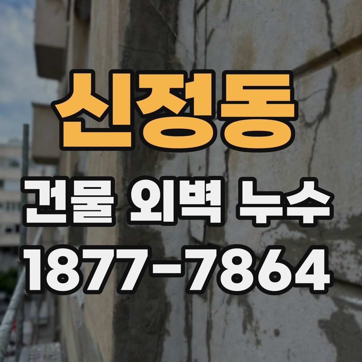 신정동 건물 외벽 누수