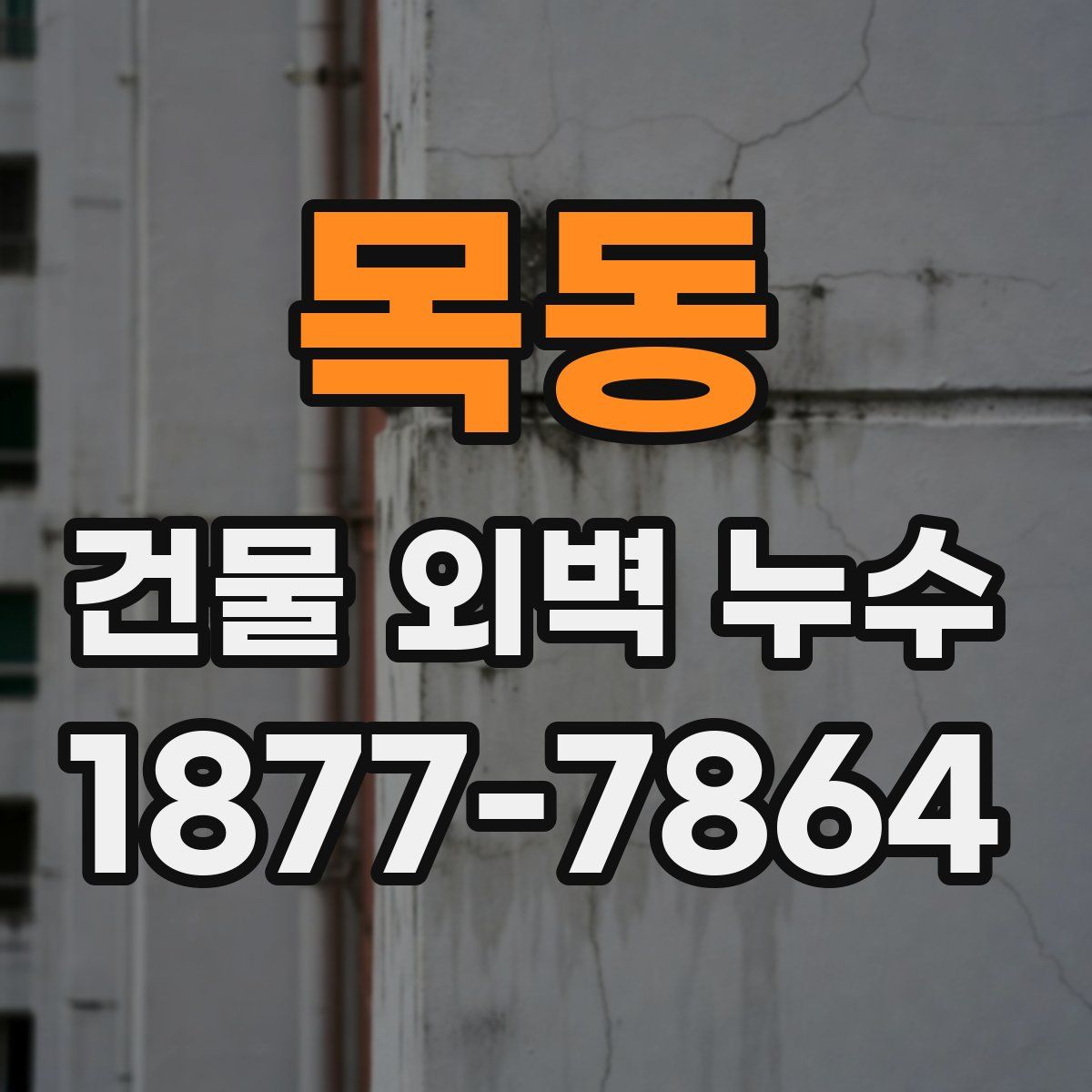목동 건물 외벽 누수