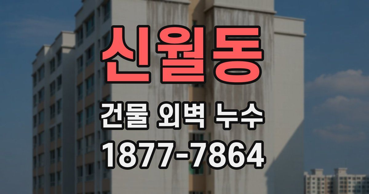 신월동 건물 외벽 누수