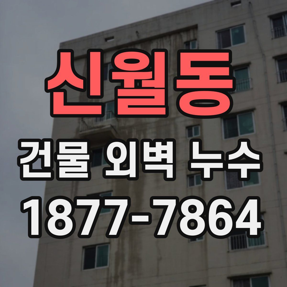 신월동 건물 외벽 누수