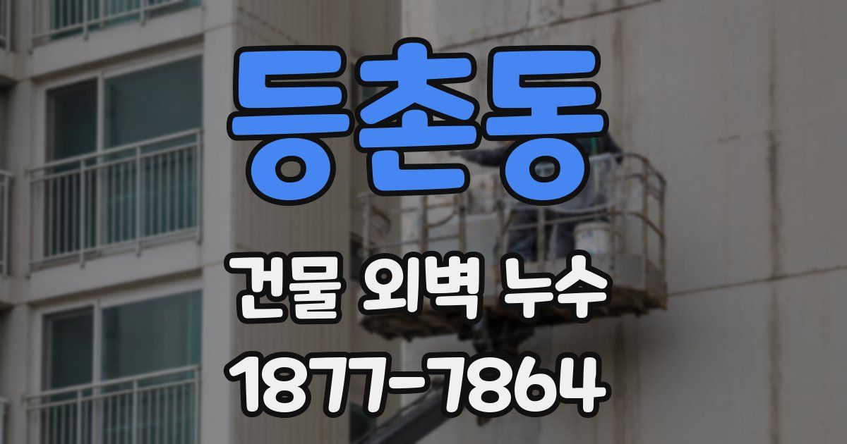 등촌동 건물 외벽 누수