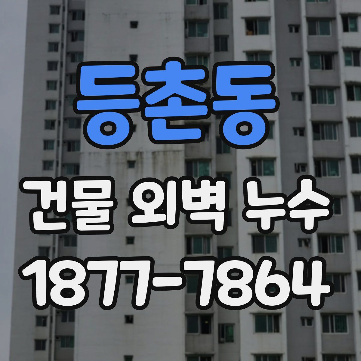 등촌동 건물 외벽 누수