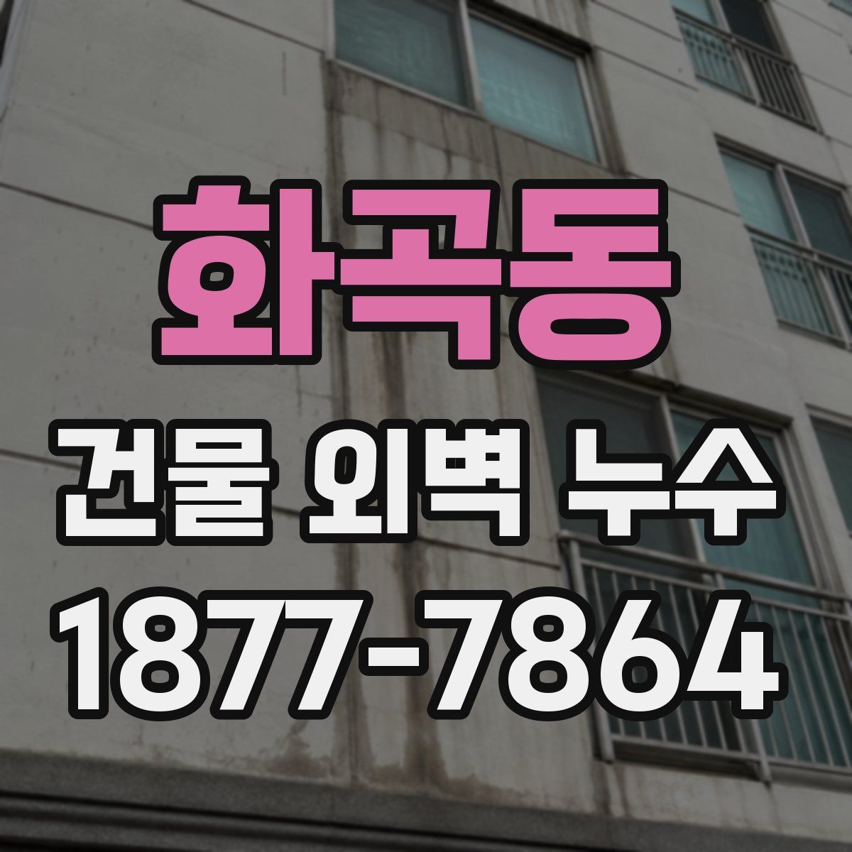 화곡동 건물 외벽 누수