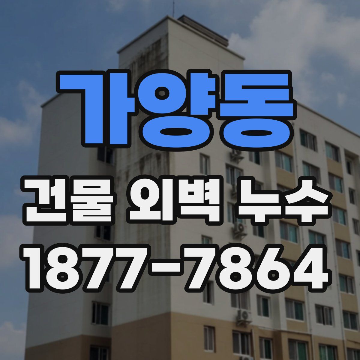 가양동 건물 외벽 누수