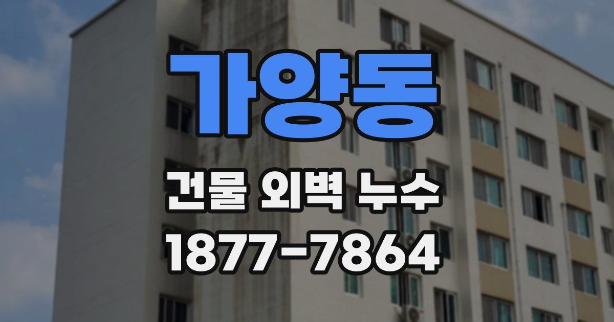 가양동 건물 외벽 누수