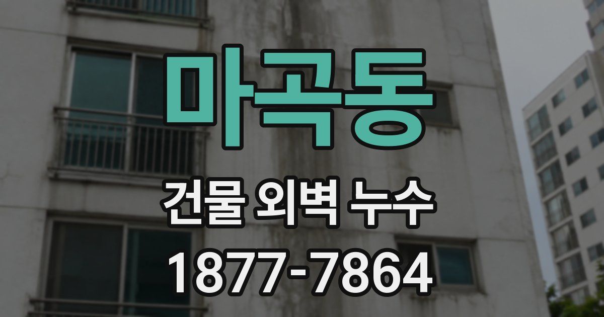 마곡동 건물 외벽 누수
