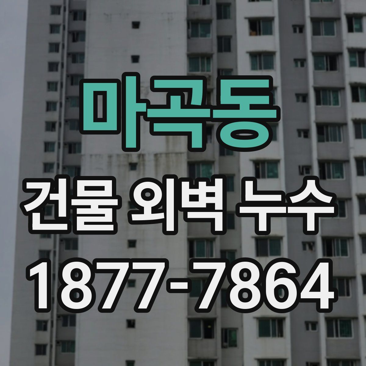 마곡동 건물 외벽 누수
