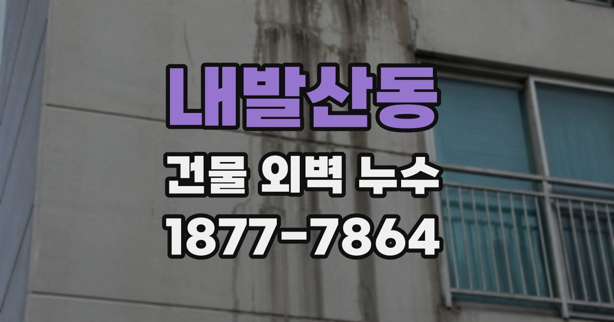 내발산동 건물 외벽 누수