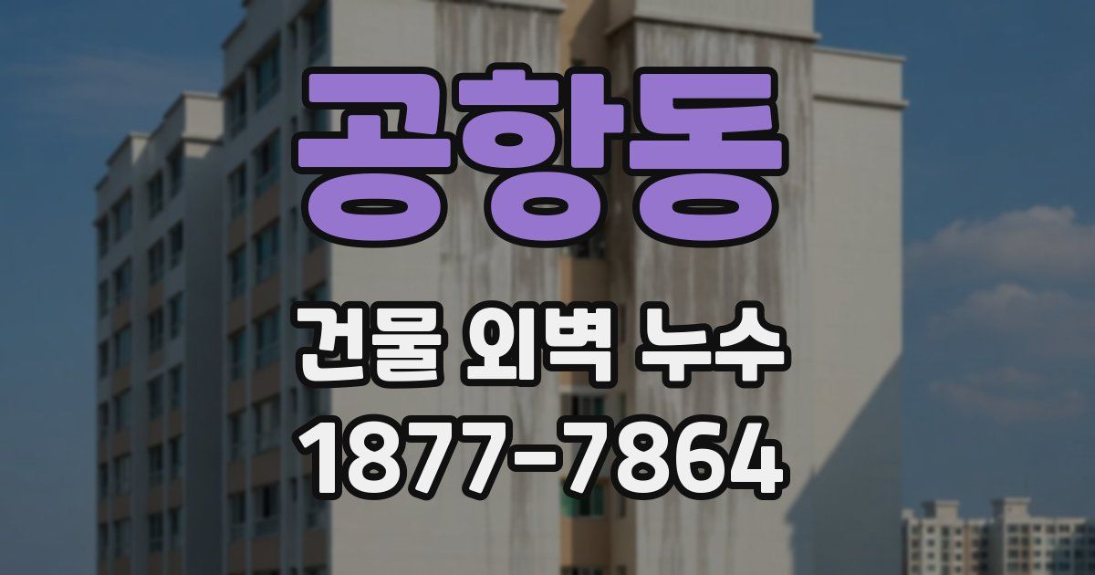 공항동 건물 외벽 누수