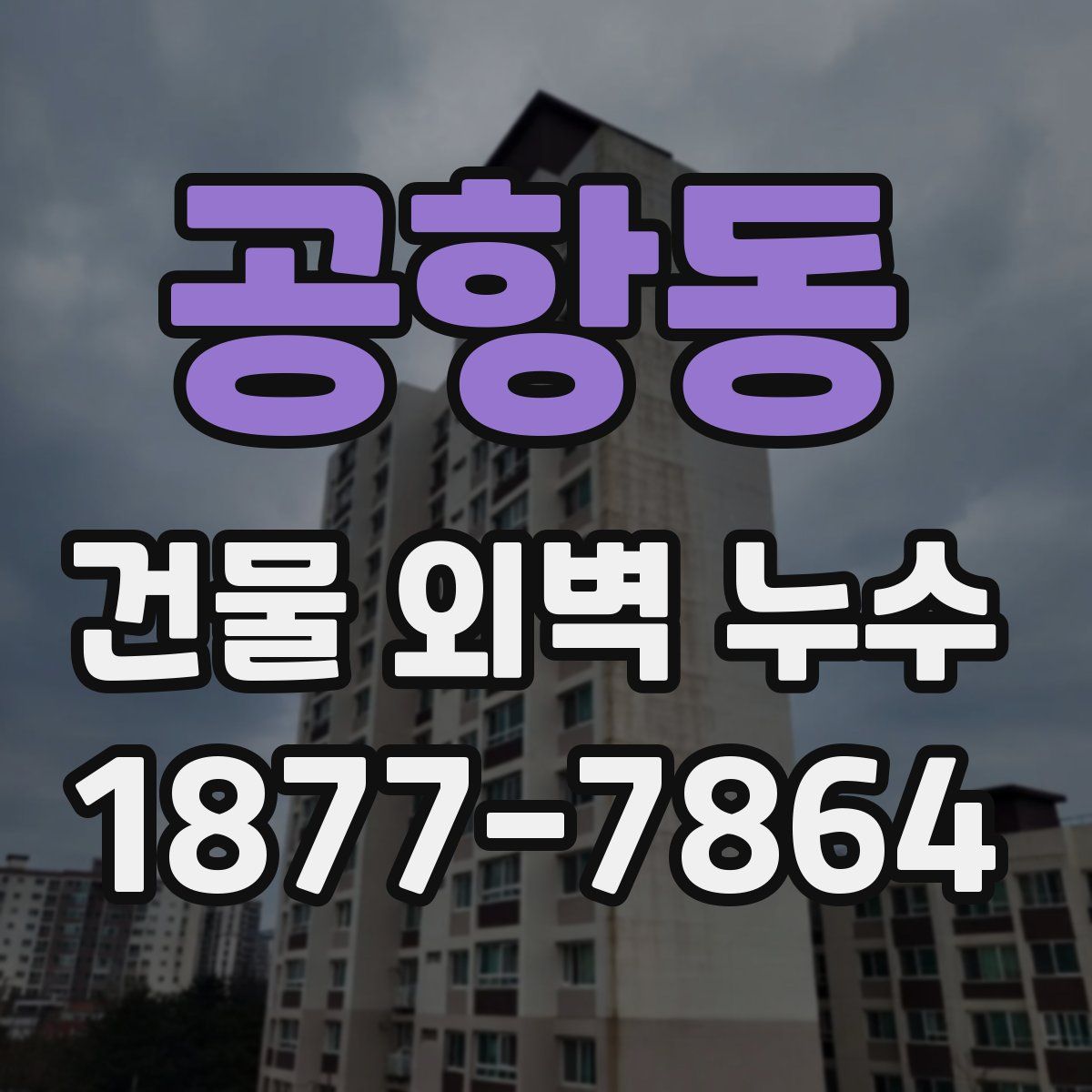 공항동 건물 외벽 누수