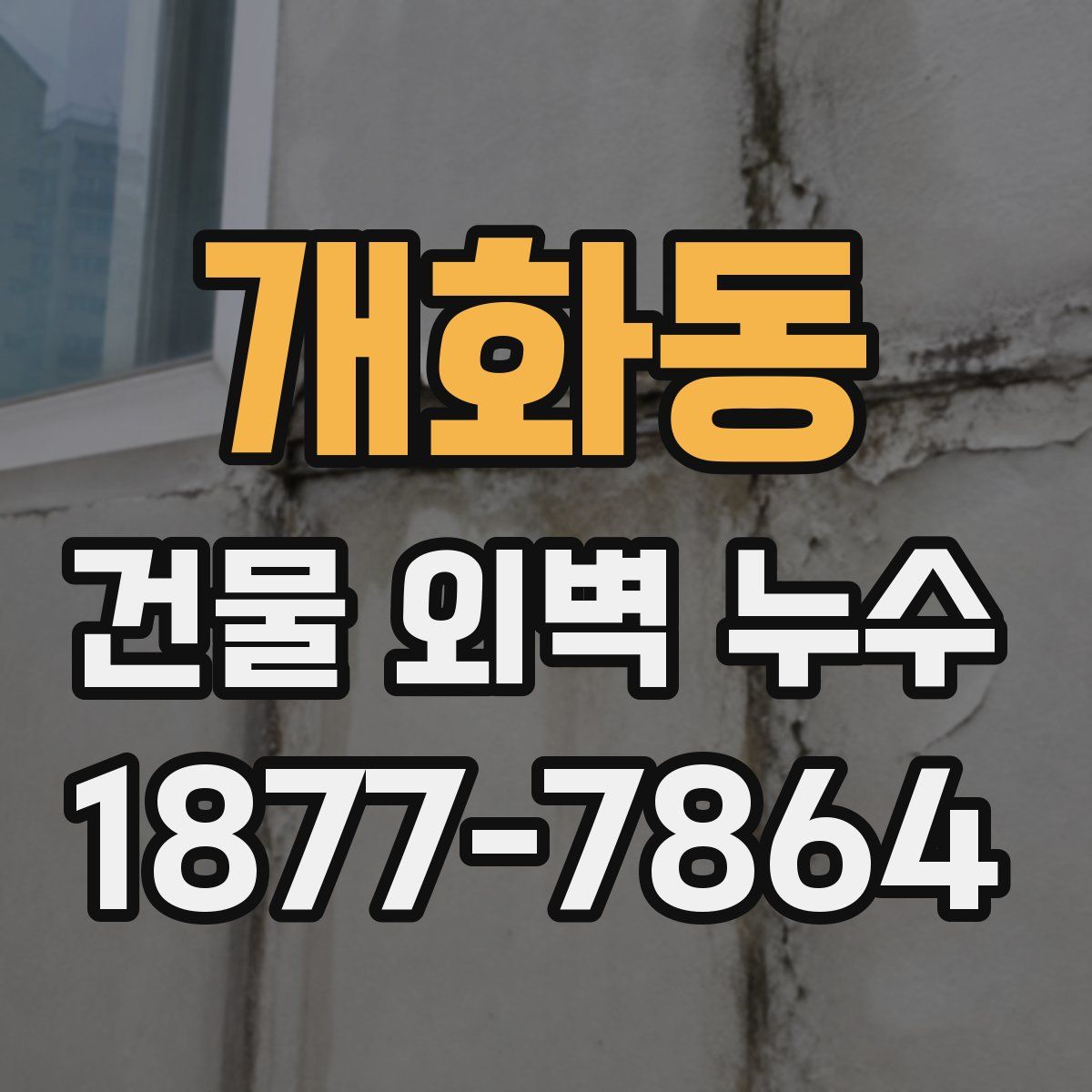 개화동 건물 외벽 누수