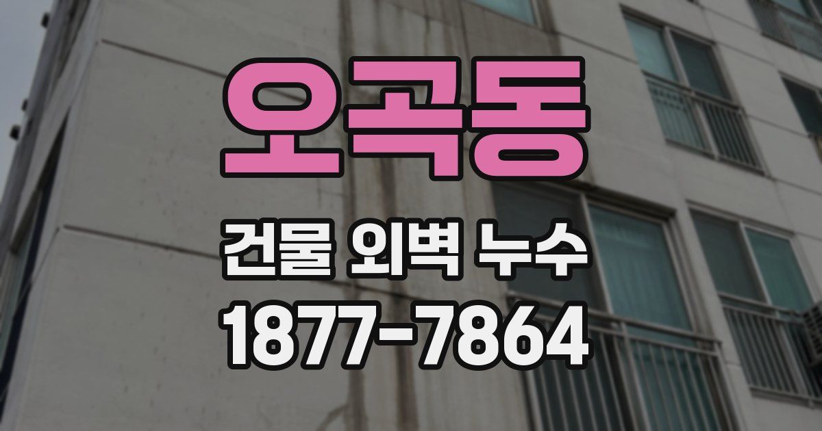 오곡동 건물 외벽 누수