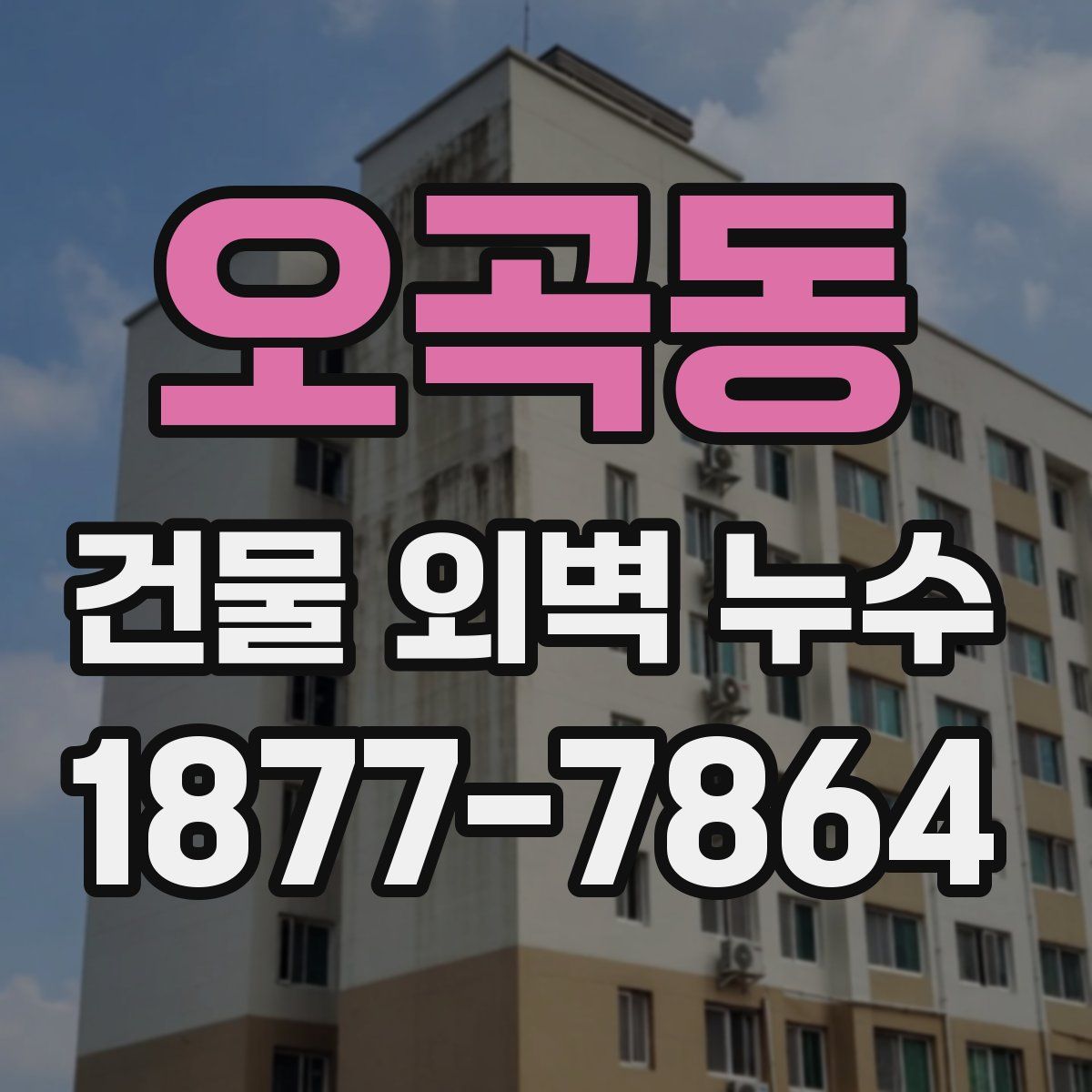 오곡동 건물 외벽 누수