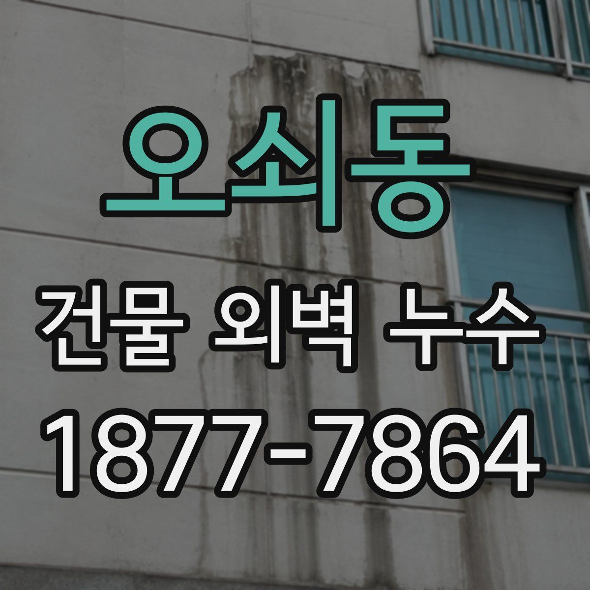 오쇠동 건물 외벽 누수
